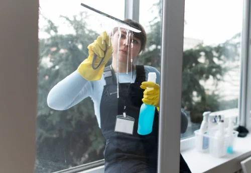 Nettoyage de vitres intérieures et extérieures à Santenay